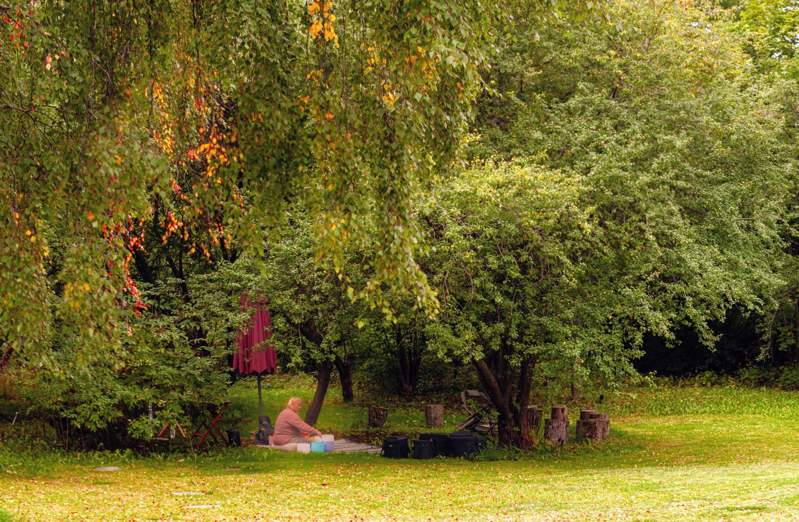 Playing and recording music under a birch tree in the garden